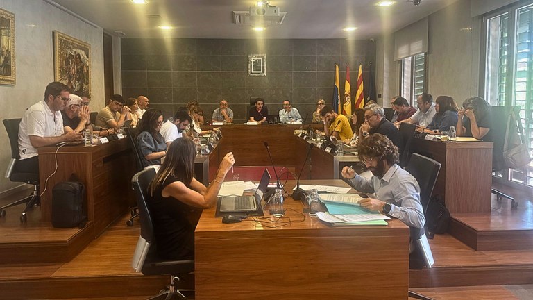 Sessió del Ple municipal de Castelldefels