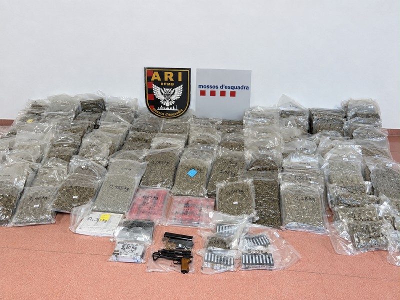 Material intervingut pels Mossos d'Esquadra en l'operació